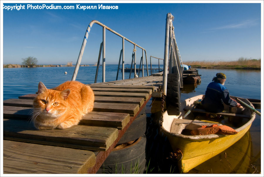 Boat, Watercraft, People, Person, Human, Dinghy, Rowboat
