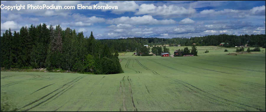 Landscape, Nature, Scenery, Field, Grass, Grassland, Land