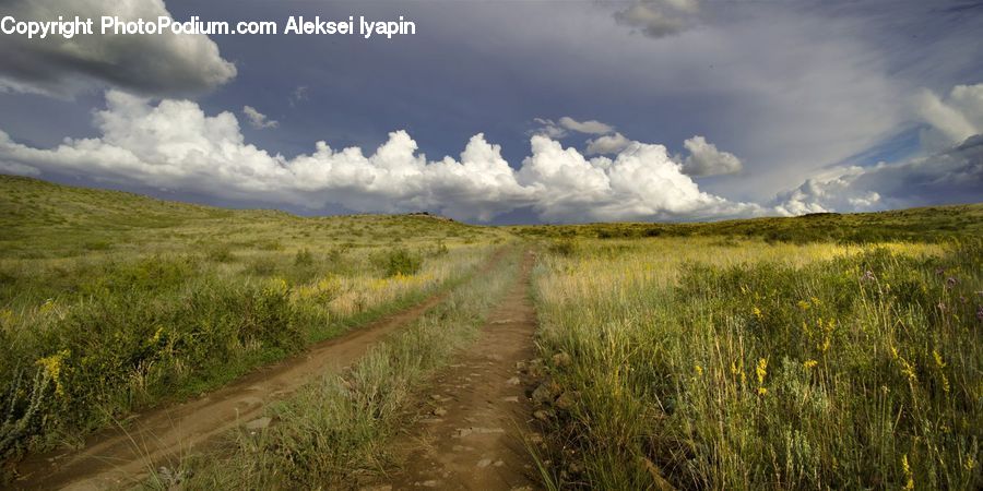 Dirt Road, Gravel, Road, Field, Grass, Grassland, Land