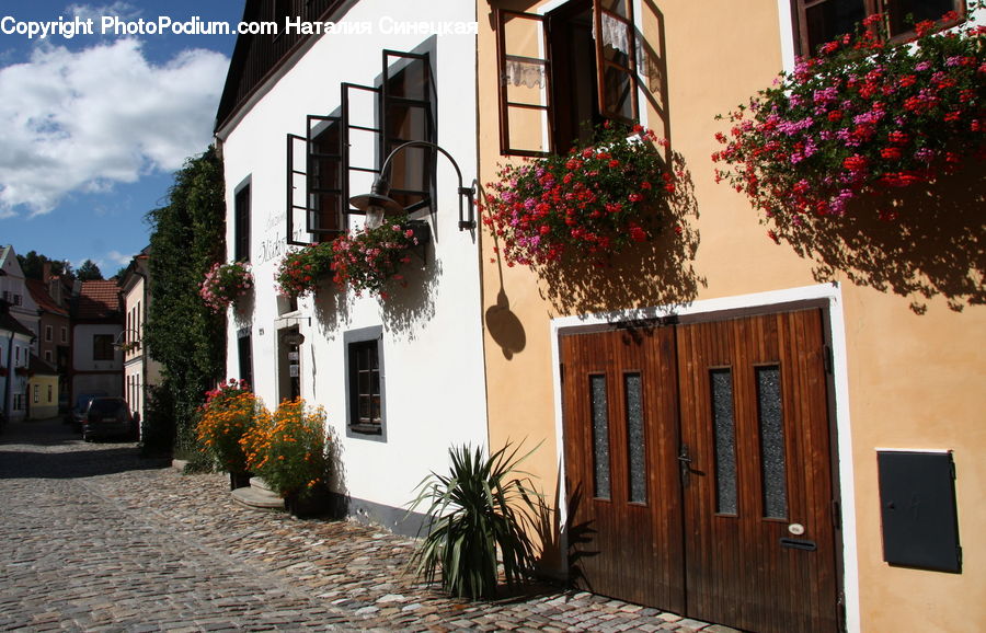 Plant, Potted Plant, Window, Building, Cottage, Housing, Cobblestone