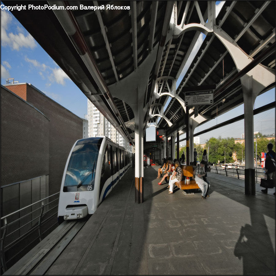 Train, Vehicle, Airport Terminal, Terminal, Automobile, Car, Transportation