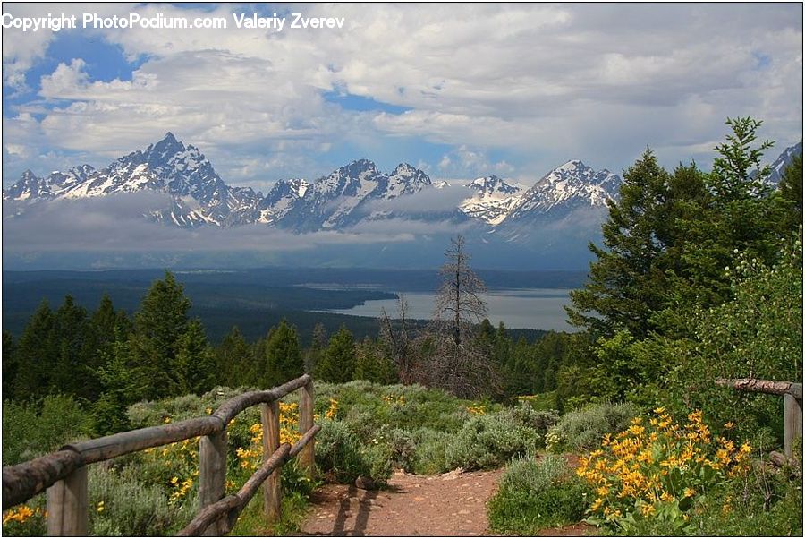 Mountain, Mountain Range, Outdoors, Conifer, Fir, Plant, Tree