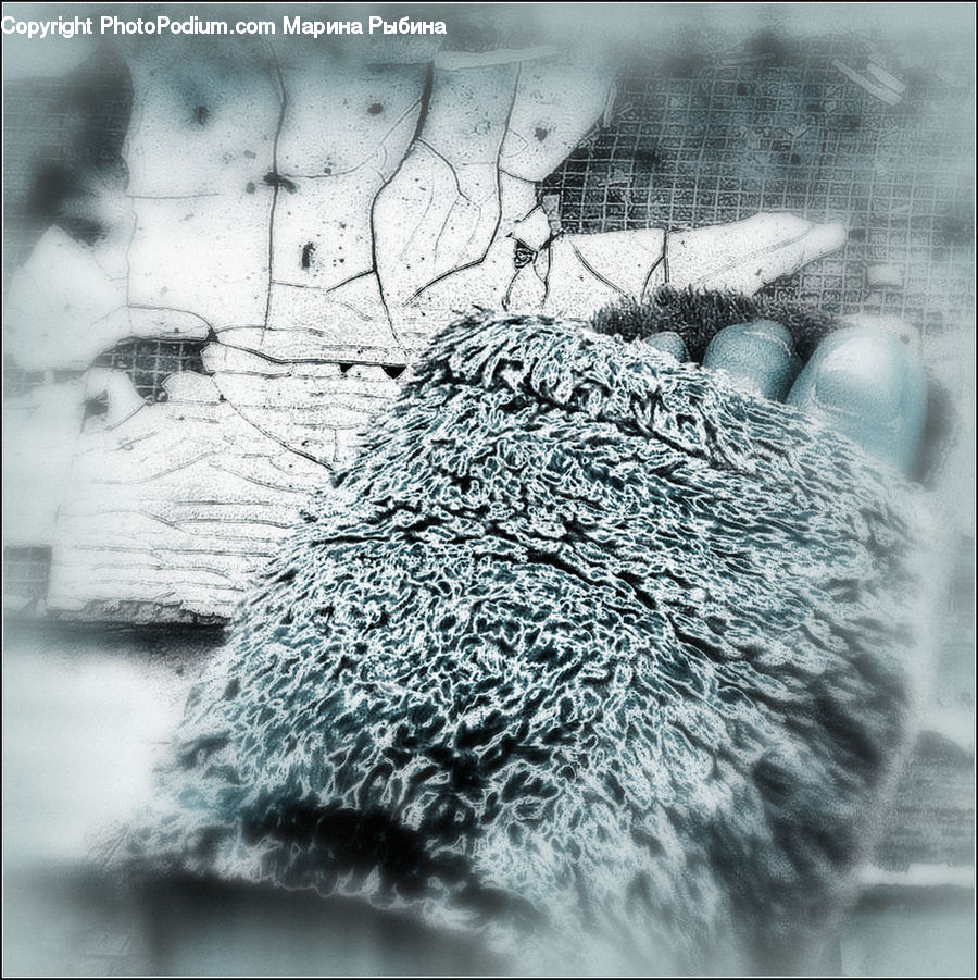 Animal, Hedgehog, Mammal, Porcupine, Rodent, Art, Modern Art
