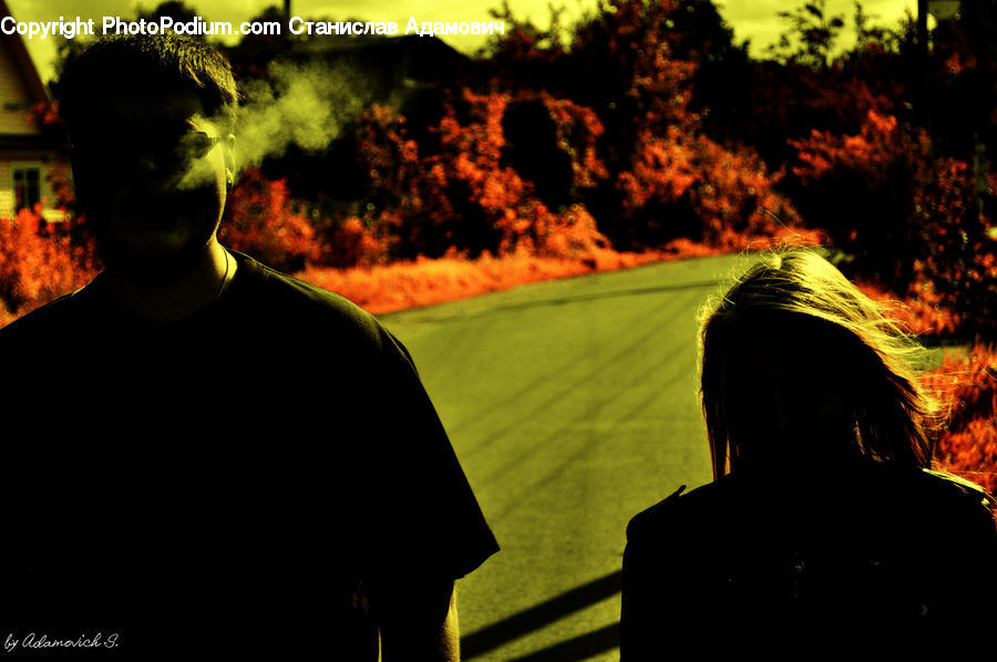 People, Person, Human, Silhouette, Bench, Forest Fire, Portrait