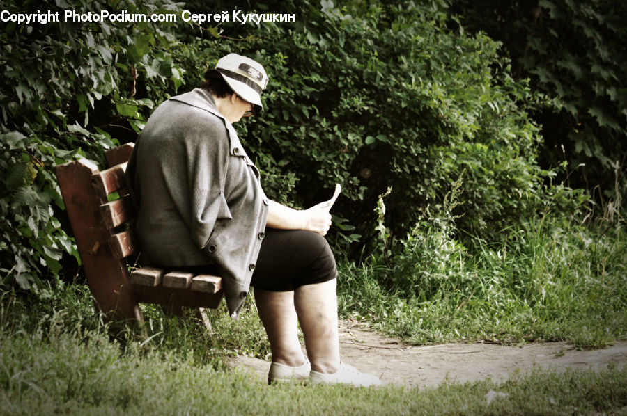 People, Person, Human, Plant, Potted Plant, Bench, Leisure Activities