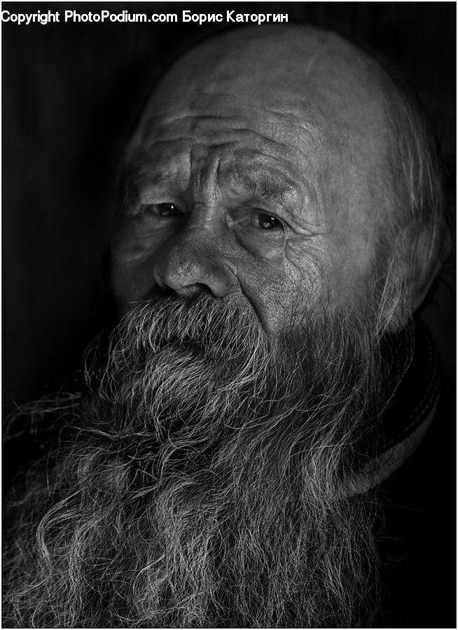 Beard, Hair, Person, Portrait, Selfie, Face
