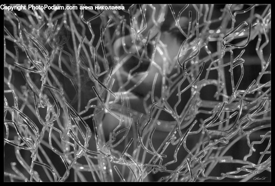 Frost, Ice, Outdoors, Snow