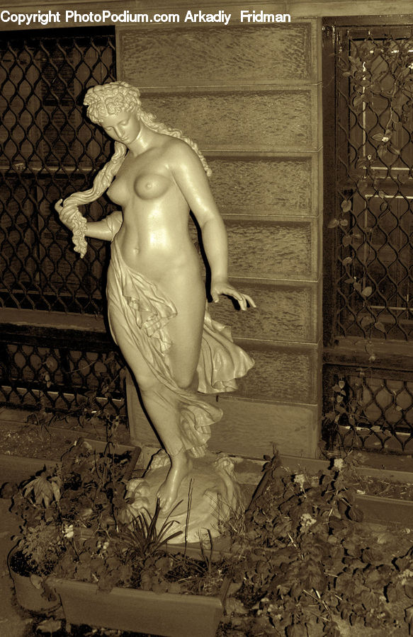 Boutique, Shop, Window Display, Costume, Crypt, Lighting, Face