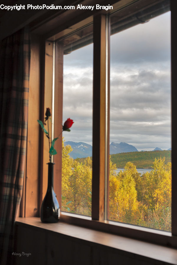 Window