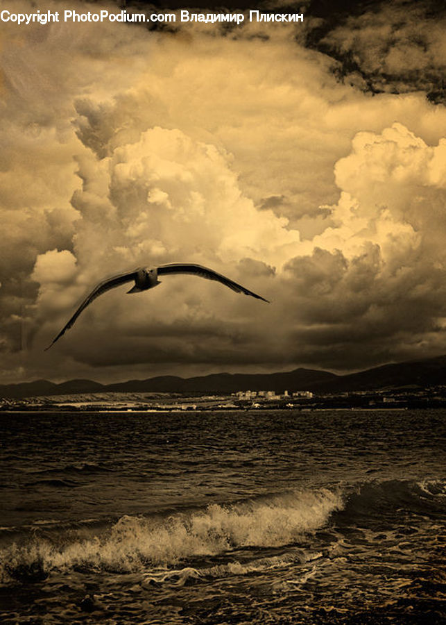 Cloud, Cumulus, Sky, Adventure, Flight, Gliding, Azure Sky
