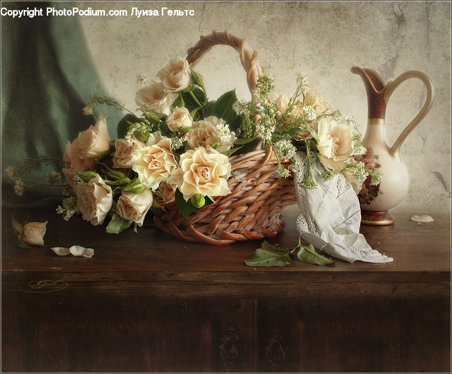 Plant, Potted Plant, Floral Design, Flower, Flower Arrangement, Flower Bouquet, Ikebana
