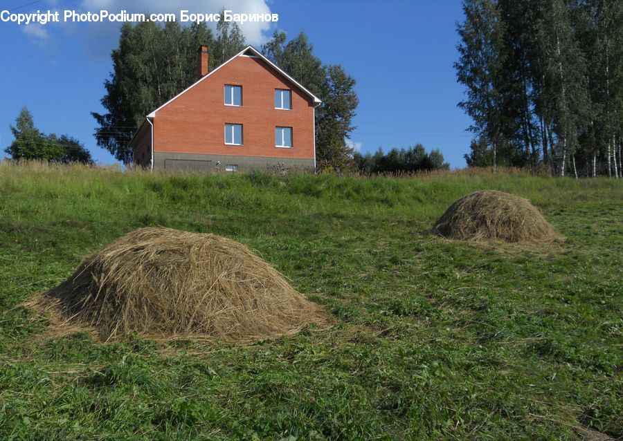 Hay, Straw, Countryside, Grassland, Mound, Field, Grass