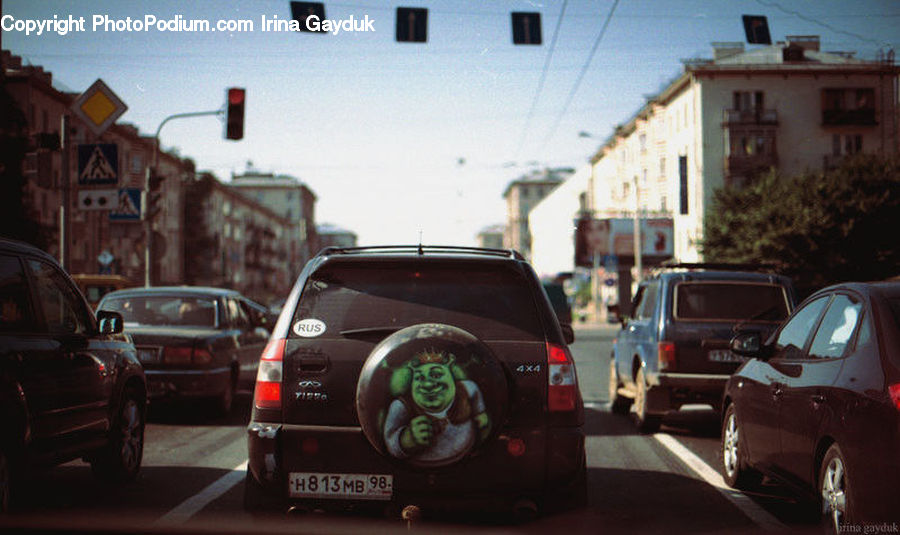 Plant, Potted Plant, Automobile, Car, Vehicle, Sedan, Engine