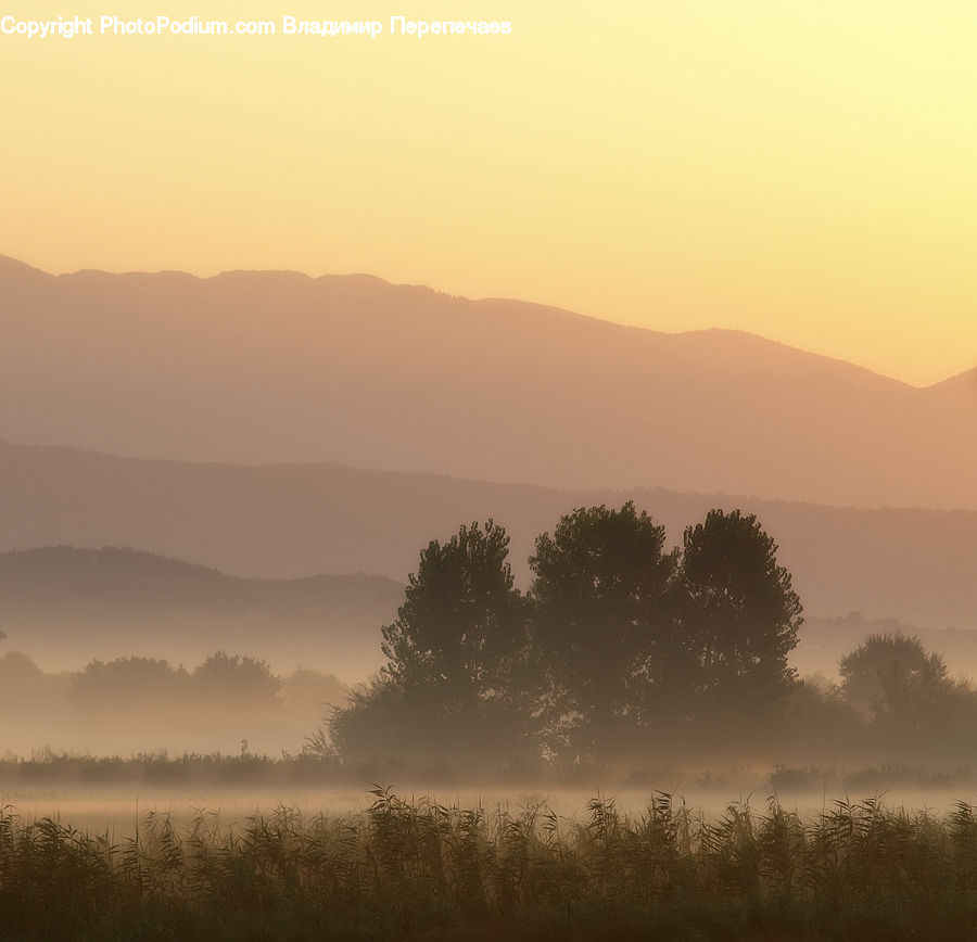 Fog, Dawn, Dusk, Sky, Sunrise, Sunset, Mist