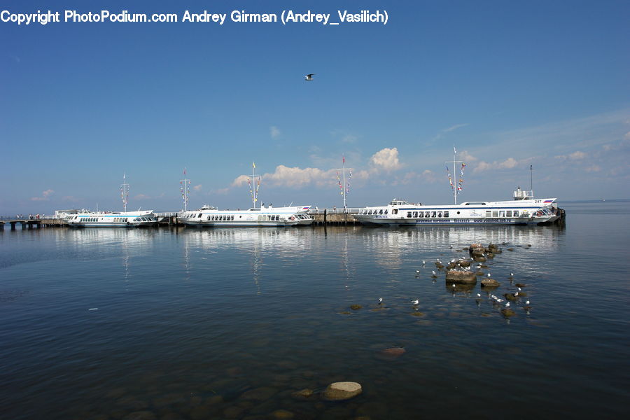 Cruise Ship, Ferry, Freighter, Ship, Tanker, Vessel, Harbor
