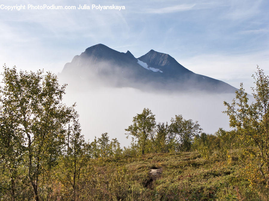 Crest, Mountain, Outdoors, Peak, Field, Grass, Grassland