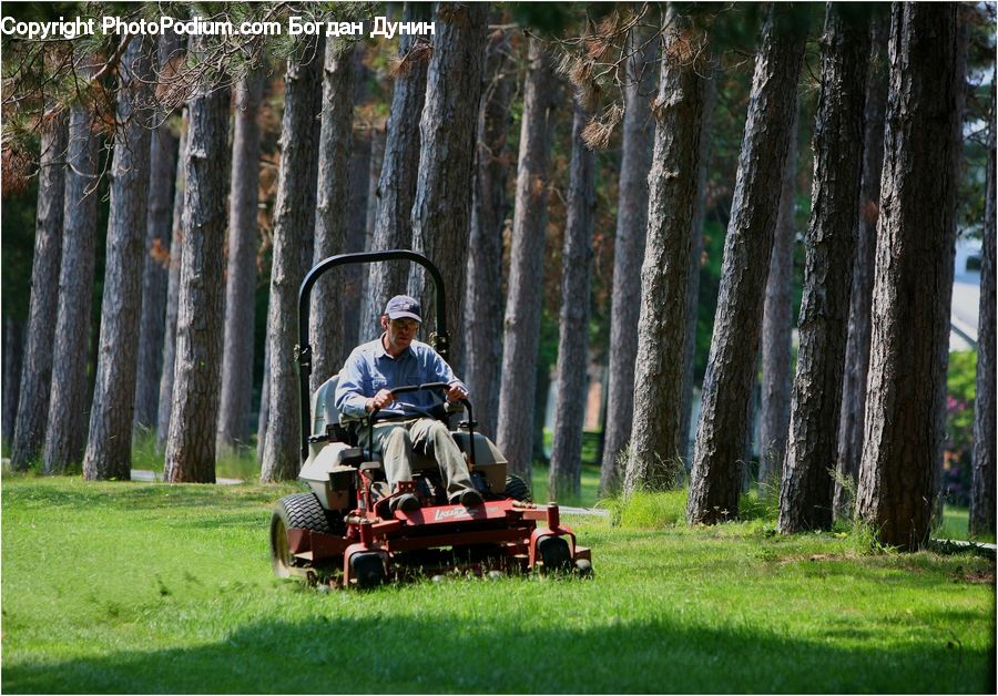 People, Person, Human, Field, Grass, Lawn, Tractor