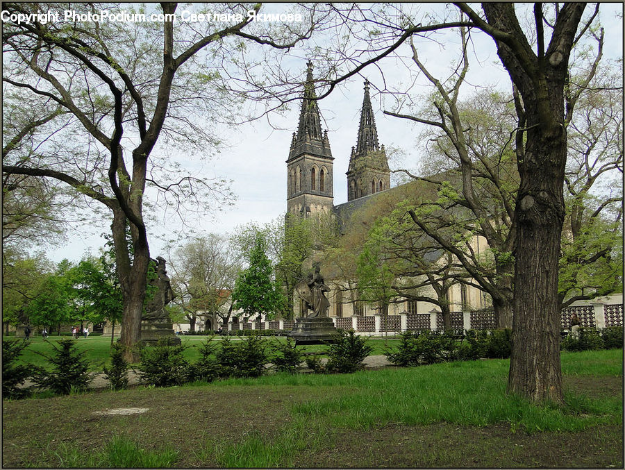 Campus, Architecture, Mansion, Bell Tower, Clock Tower, Tower, Church