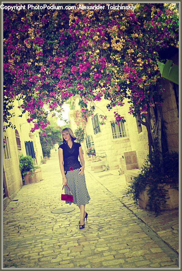 Plant, Potted Plant, People, Person, Human, Blossom, Flower