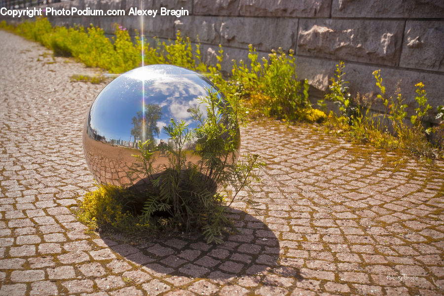 Globe, Planet, Sphere, Bush, Plant, Vegetation, Cobblestone