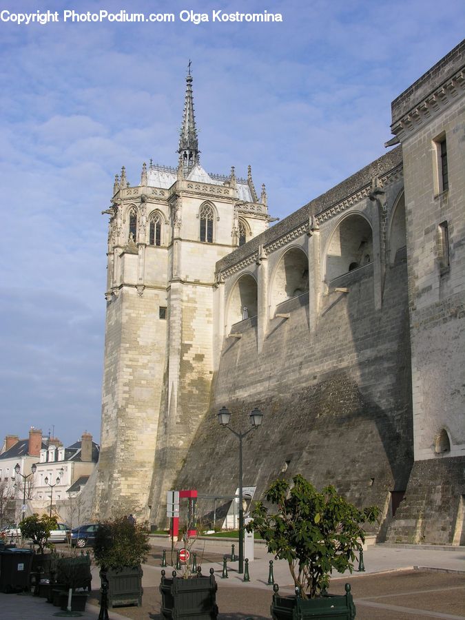 Plant, Potted Plant, Castle, Fort, Architecture, Bell Tower, Clock Tower