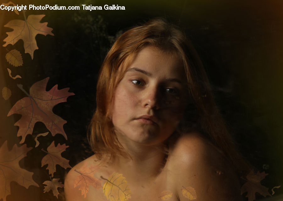 People, Person, Human, Maple, Maple Leaf, Plant, Paper