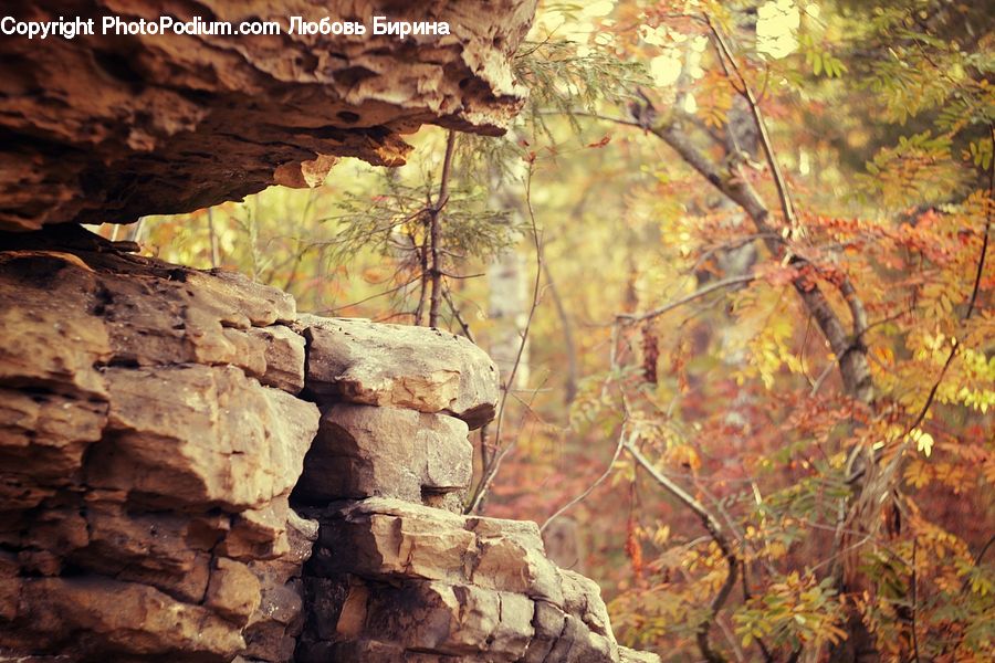 People, Person, Human, Cave, Rock, Outdoors, Cliff