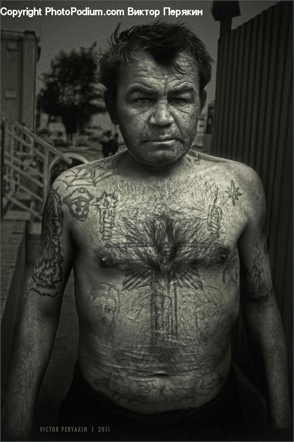 People, Person, Human, Plant, Potted Plant, Torso, Head