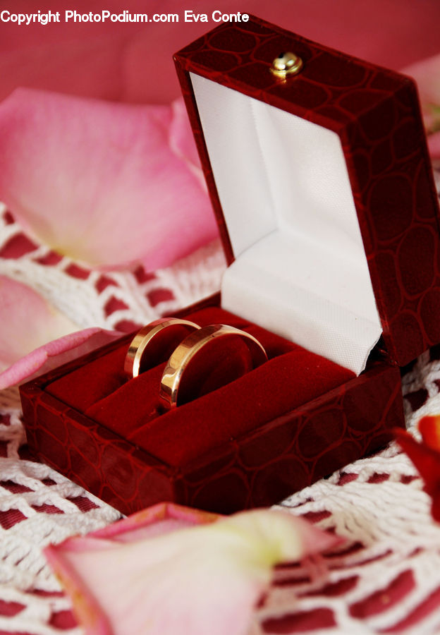 Gift, Bra, Lingerie, Underwear, Furniture