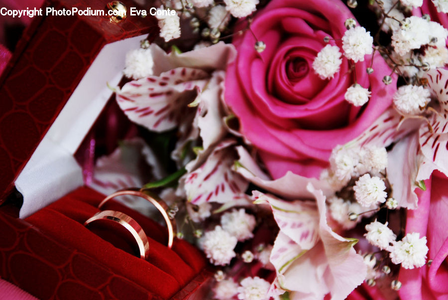 Flower, Flower Arrangement, Flower Bouquet, Blossom, Plant, Rose, Flora