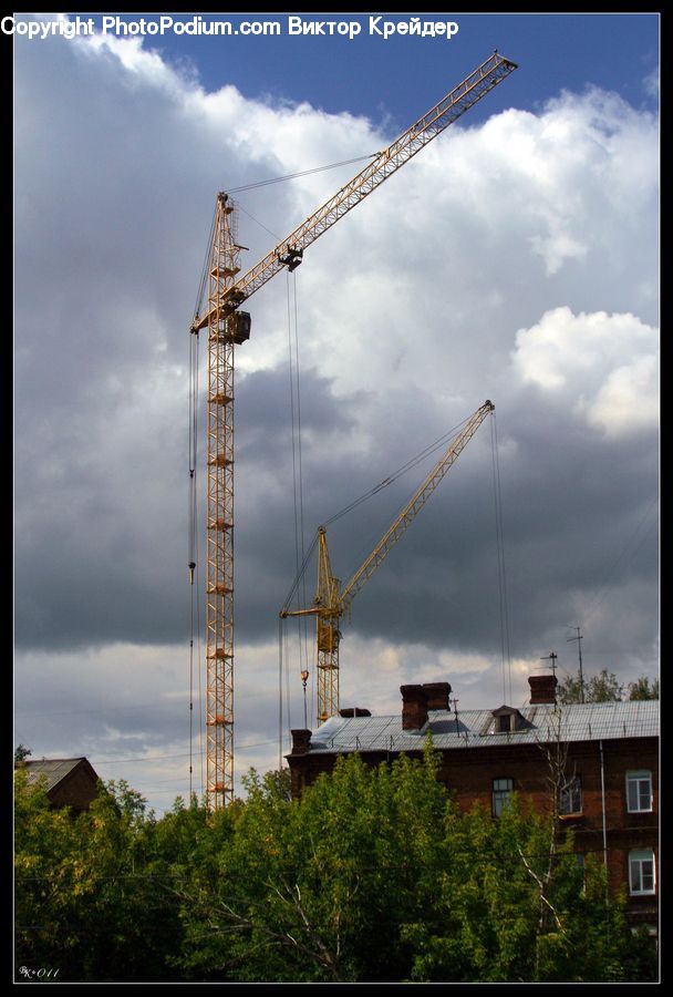 Constriction Crane, Plant, Potted Plant, Fence, Hedge, Conifer, Tree