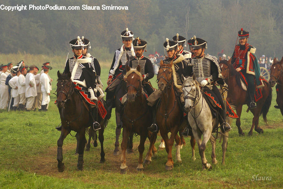 Animal, Horse, Mammal, People, Person, Human, Equestrian