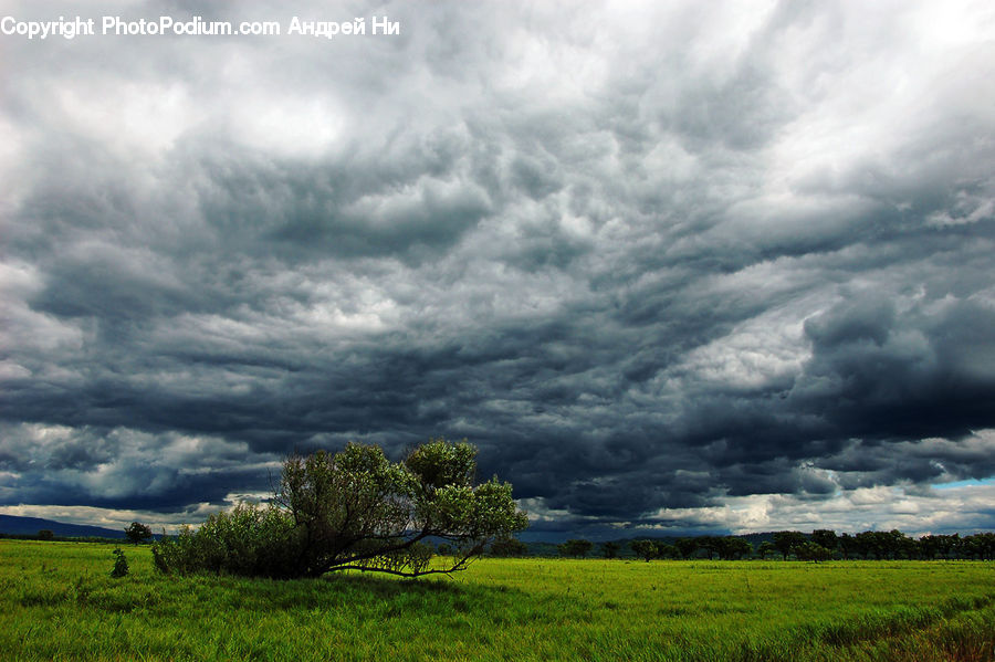 Field, Grass, Grassland, Land, Outdoors, Azure Sky, Cloud