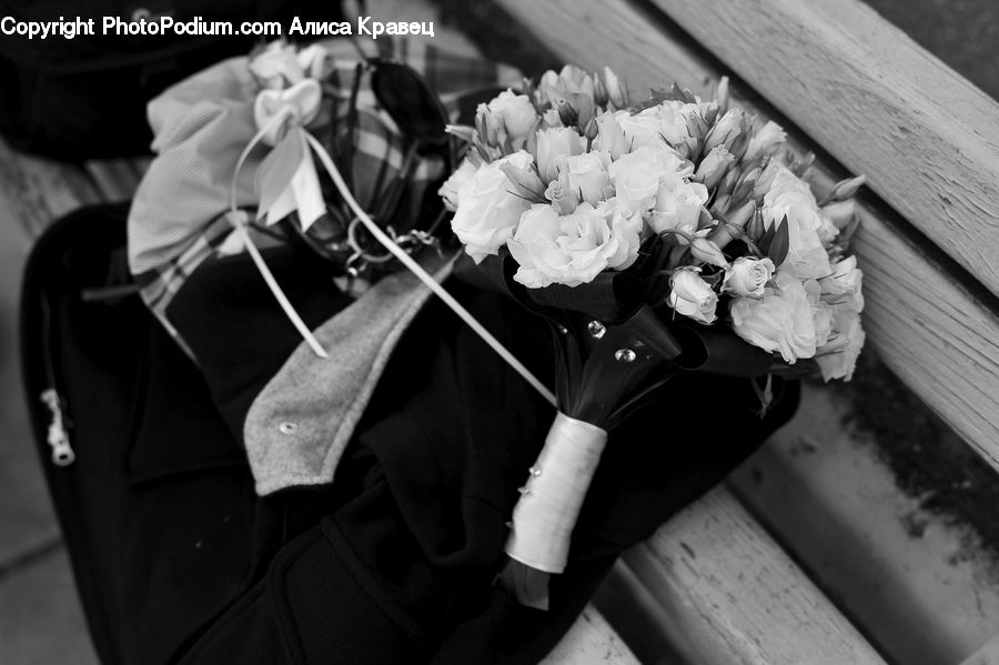 Arm, Blossom, Flower, Plant, Rose, Flower Arrangement, Flower Bouquet