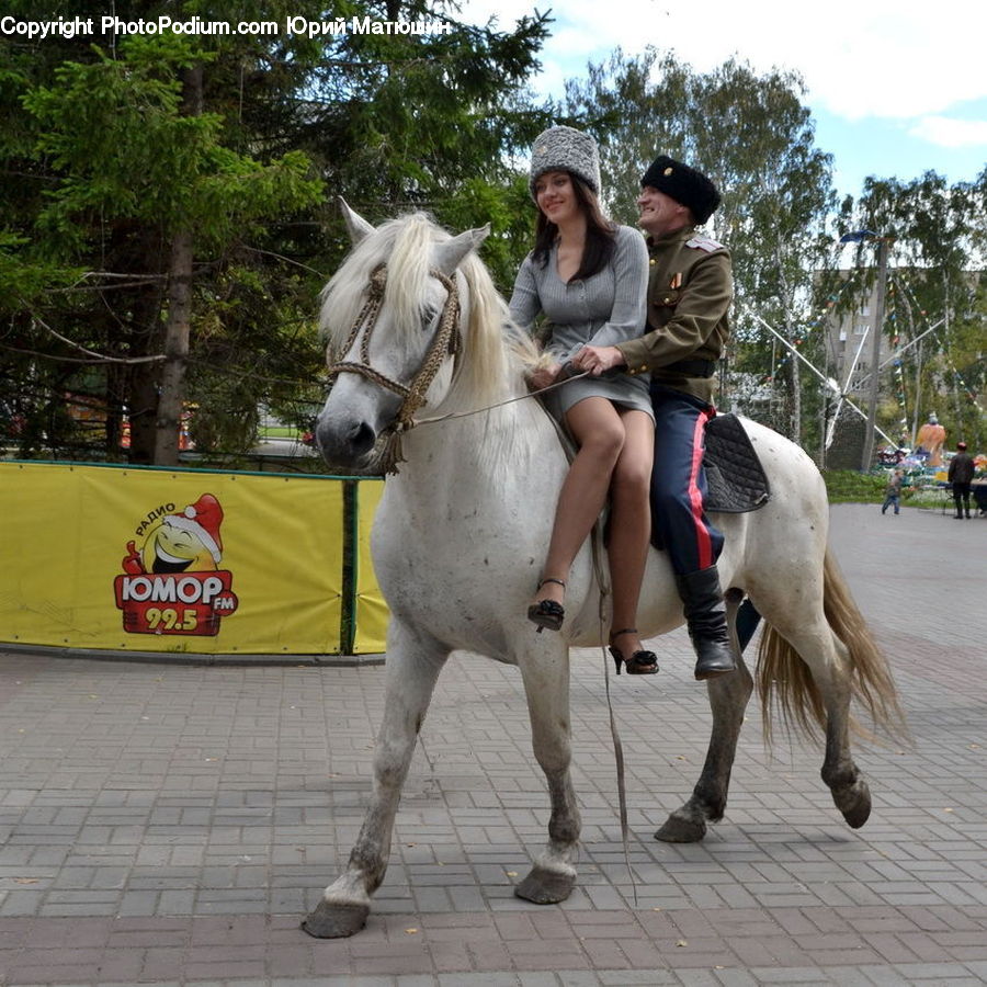 People, Person, Human, Animal, Horse, Mammal, Equestrian