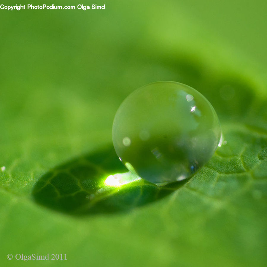 Droplet