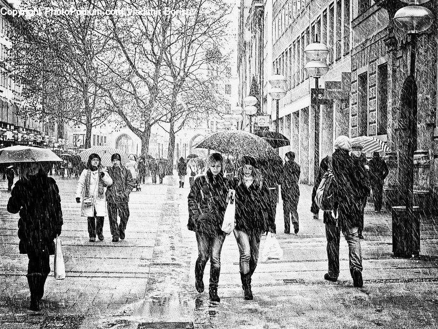 Umbrella, People, Person, Human, Silhouette, Crowd, Army