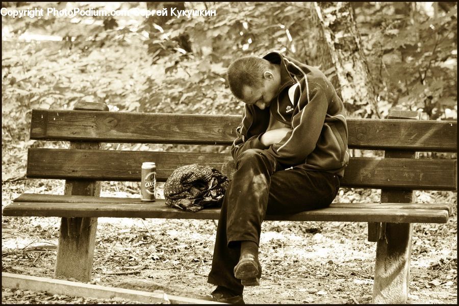 People, Person, Human, Park Bench, Bench, Guard Rail, Railing