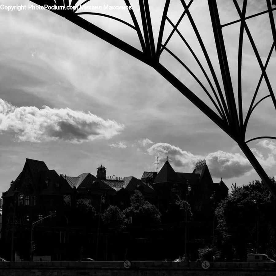 Silhouette, Canopy, Plant, Tree, City, Downtown, Urban