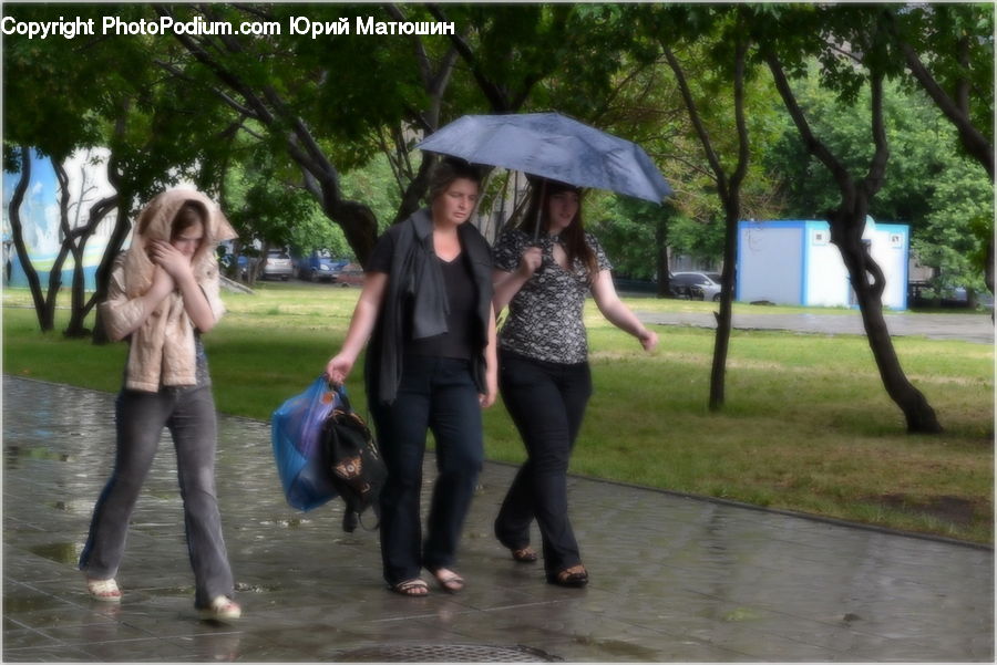 Human, People, Person, Leisure Activities, Walking, Female, Park
