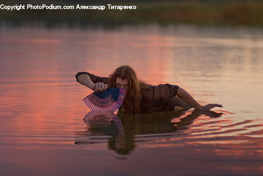 Bird, Black Swan, Swan, Waterfowl, Female, Person, Outdoors