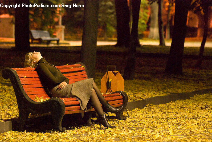 Chair, Furniture, Couch, Park Bench, Bench, Cup, Asphalt