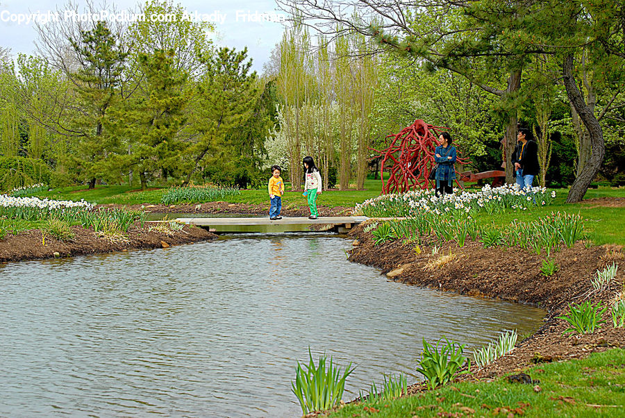Canal, Outdoors, River, Water, Pond, Park, Blossom
