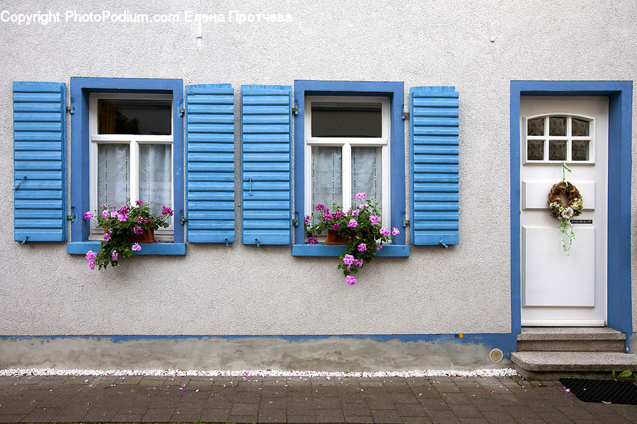 Plant, Potted Plant, Window, Blossom, Flora, Flower, Geranium