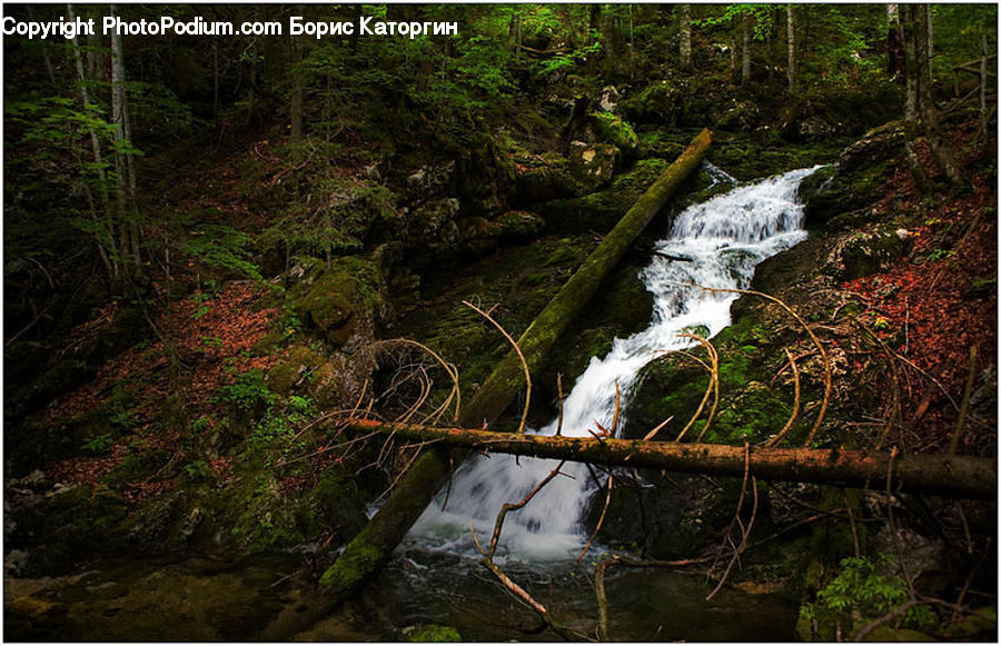 Creek, Outdoors, River, Water, Waterfall, Forest, Grove