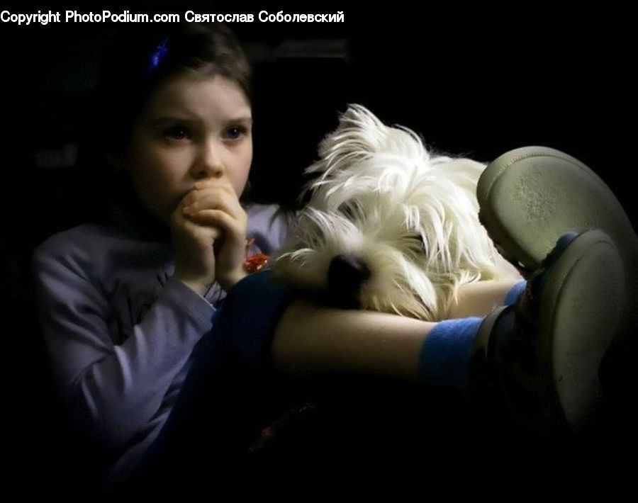 People, Person, Human, Animal, Canine, Dog, Mammal