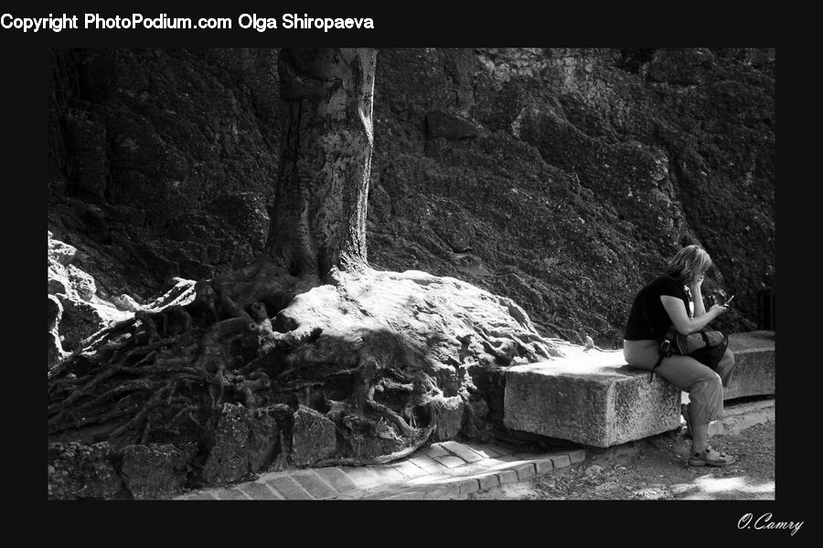 People, Person, Human, Bench, Rock, Outdoors, Female