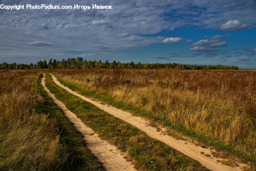 Dirt Road, Gravel, Road, Field, Grass, Grassland, Land
