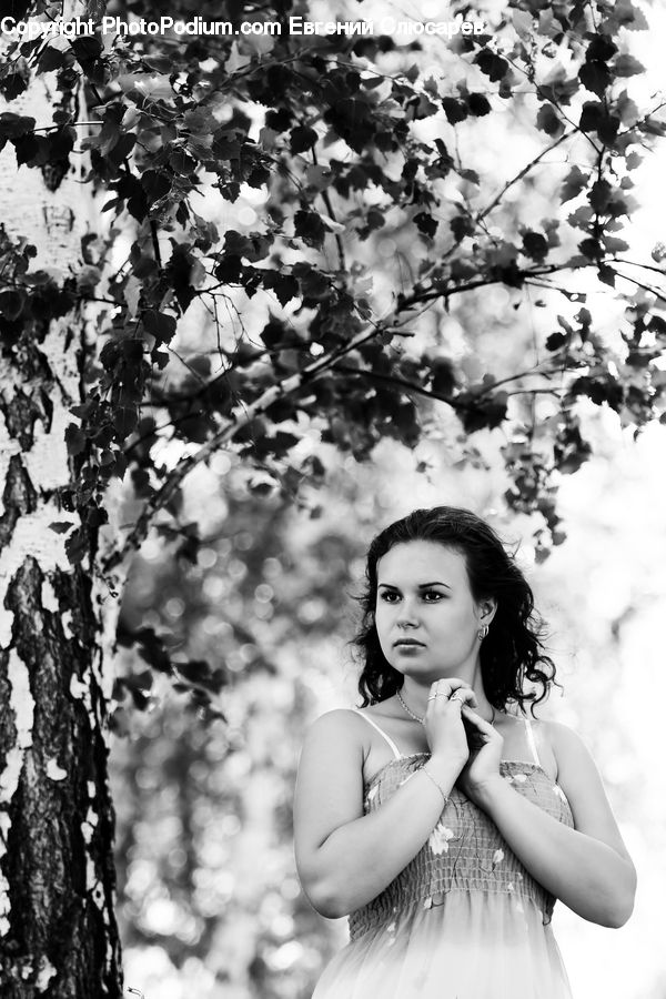 People, Person, Human, Portrait, Female, Woman