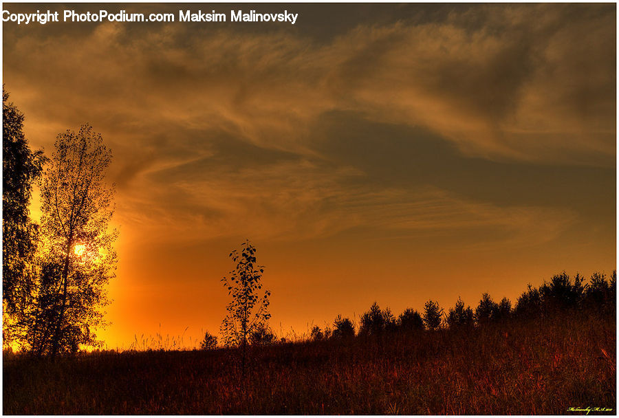 Cloud, Cumulus, Sky, Dawn, Dusk, Red Sky, Sunrise